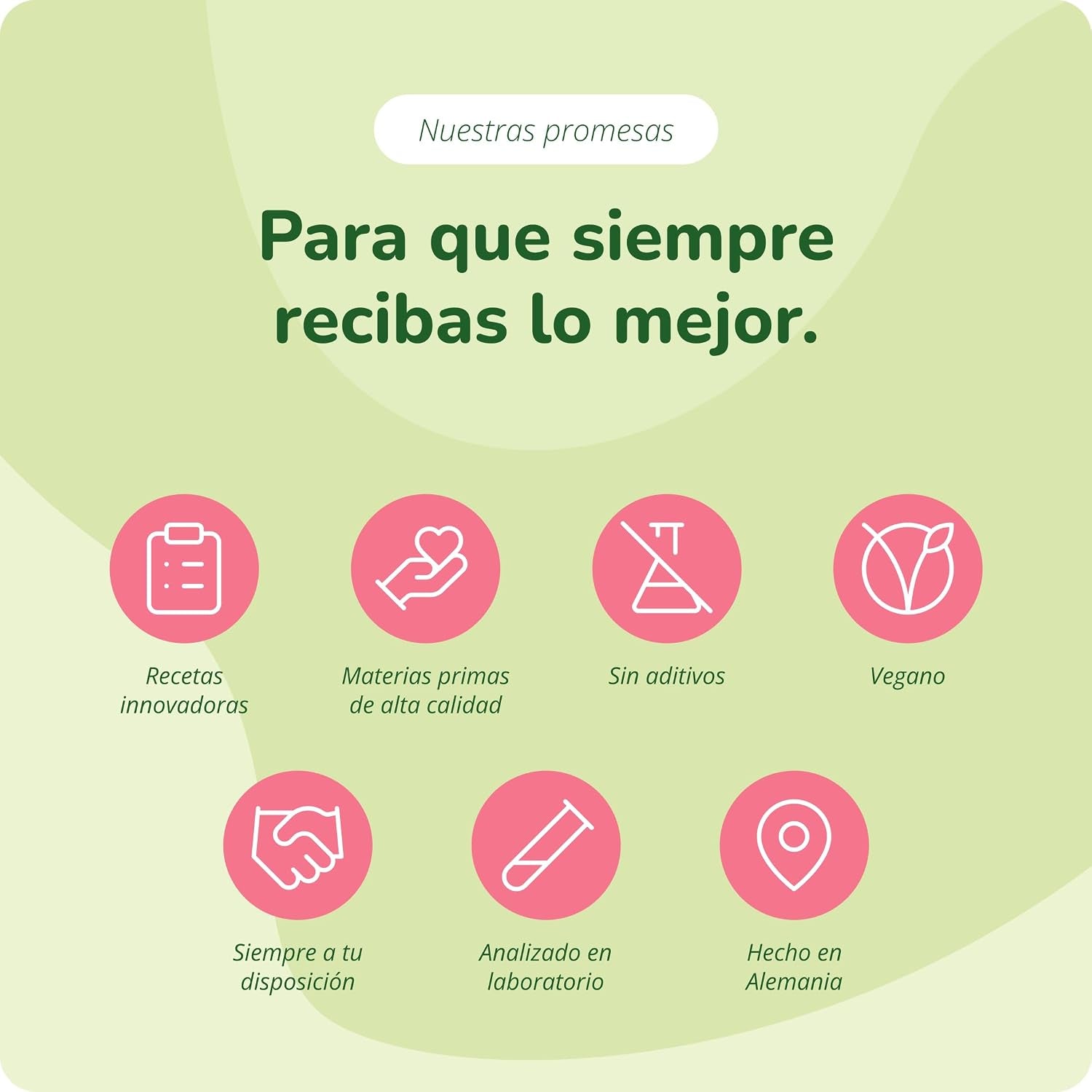 Canela De Ceylan Vegavero | DOSIS ALTA: 2500 Mg | Para 4 Meses | Controla Glucosa - Azúcar En Sangre | Colesterol + Antioxidantes | Sin Aditivos & Vegano | 120 Cápsulas