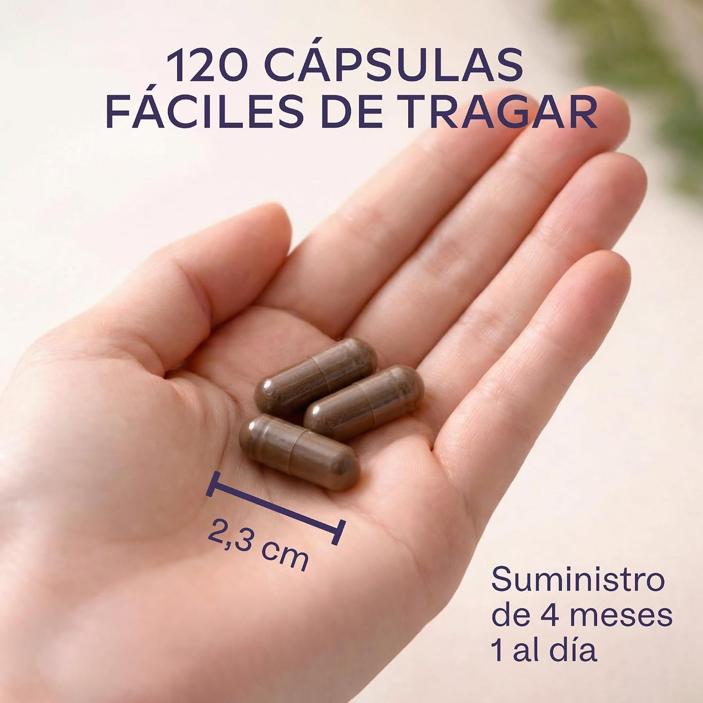 Melena De Leon 18,000Mg (30:1) + Zinc, Reishi & Cordyceps - Alta Potencia Lions Mane Mushroom Pastillas -120 Melena De Leon Capsulas - Nootropicos