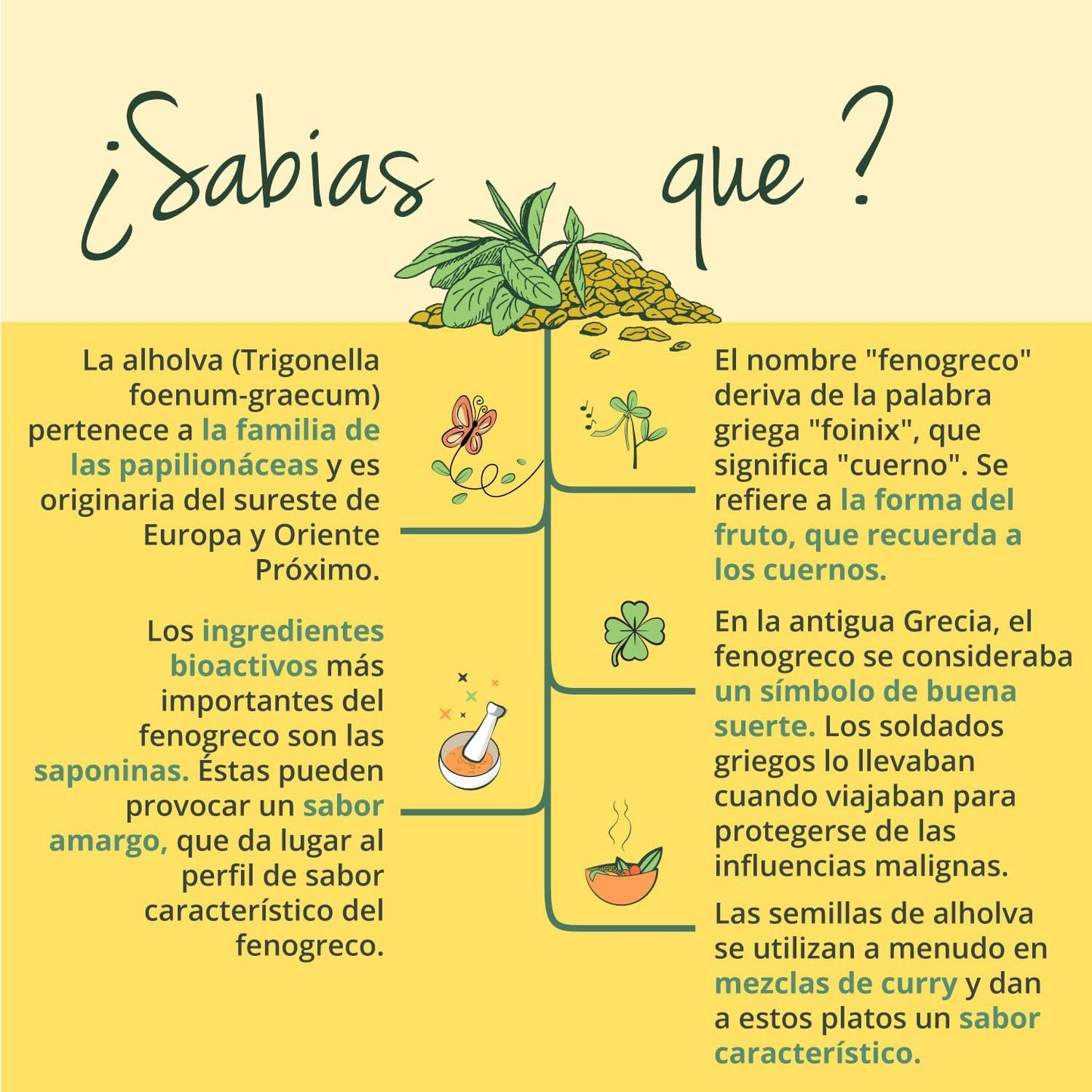 Fenogreco BIO | Dosis Alta: 2900 Mg | Para Lactancia Materna | Sin Aditivos | FENUGREEK | 120 Capsulas | Vegavero | Vegano