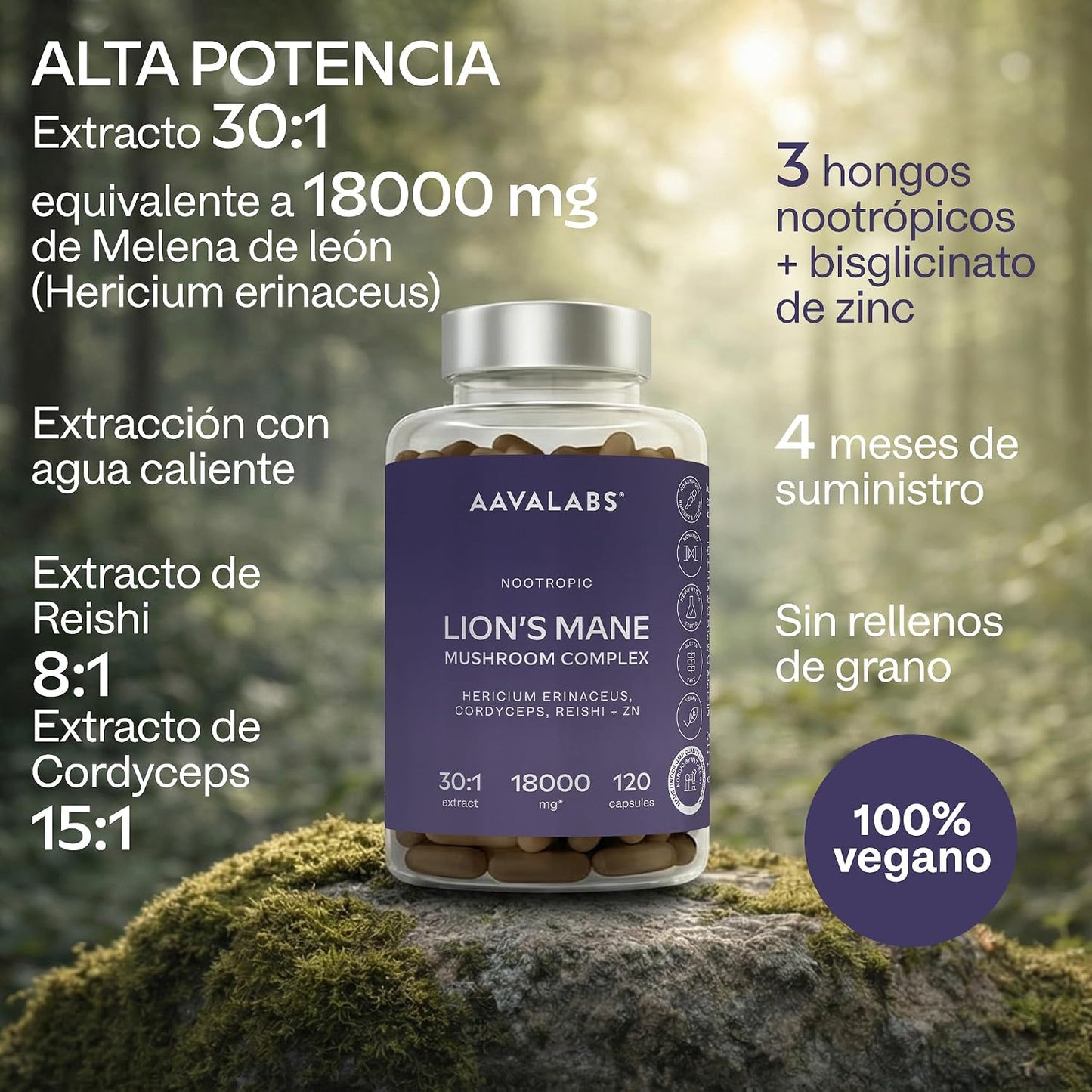 Melena De Leon 18,000Mg (30:1) + Zinc, Reishi & Cordyceps - Alta Potencia Lions Mane Mushroom Pastillas -120 Melena De Leon Capsulas - Nootropicos